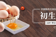 德州和膳生態(tài)農(nóng)業(yè)有限公司堅持"誠實守信"的原則為廣大客戶提供優(yōu)質(zhì)的服務